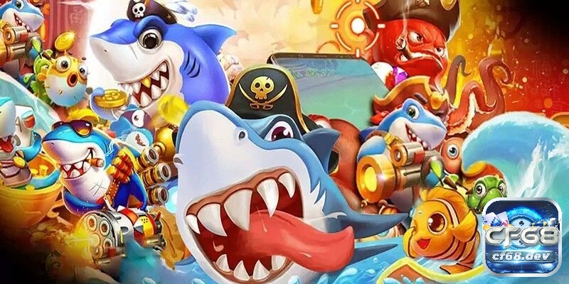 Việc cài đặt và tối ưu hóa ứng dụng đúng cách